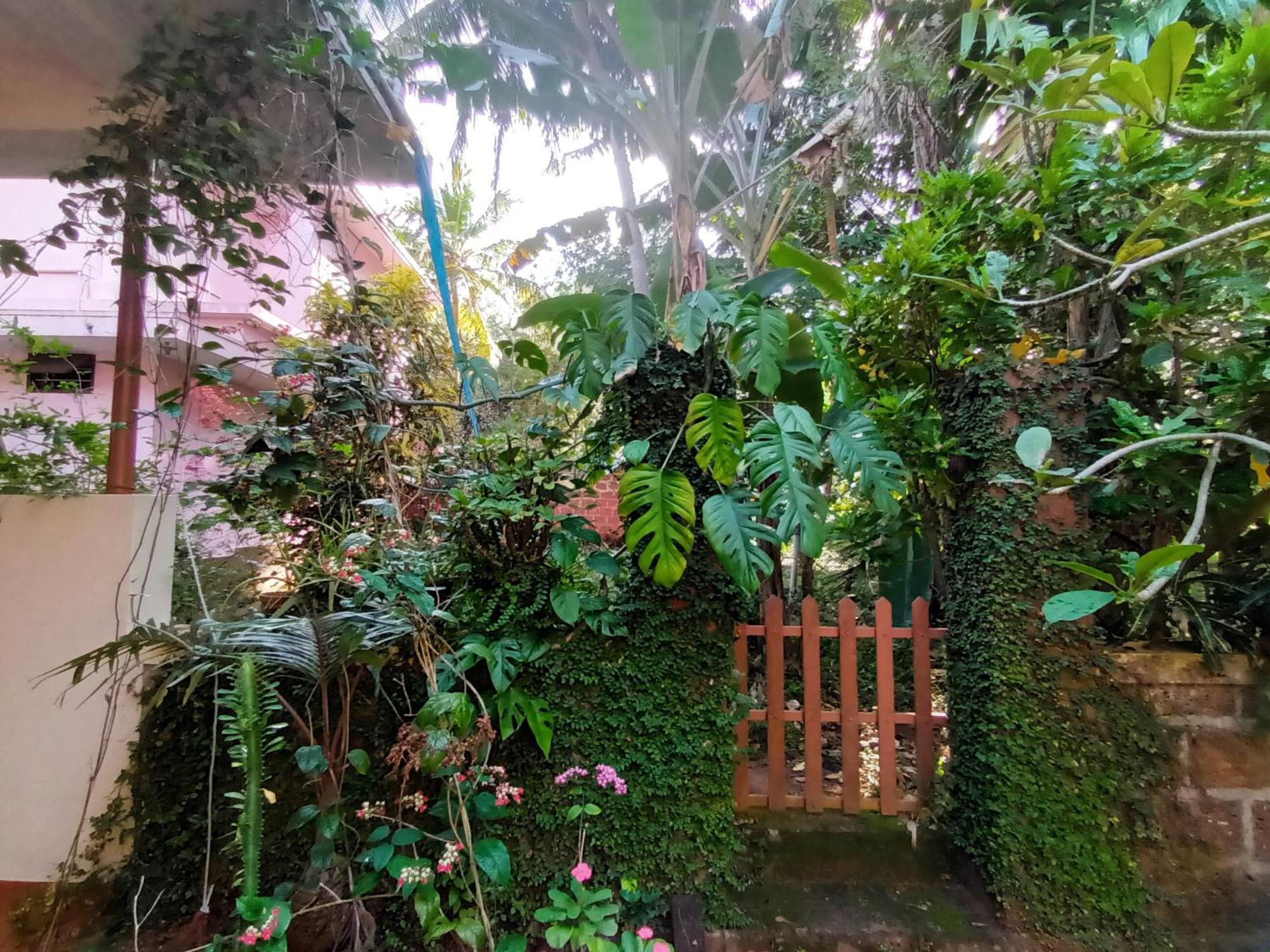 Hotel Ivory Coaste Kannur Exteriér fotografie