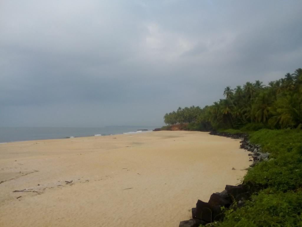 Hotel Ivory Coaste Kannur Exteriér fotografie