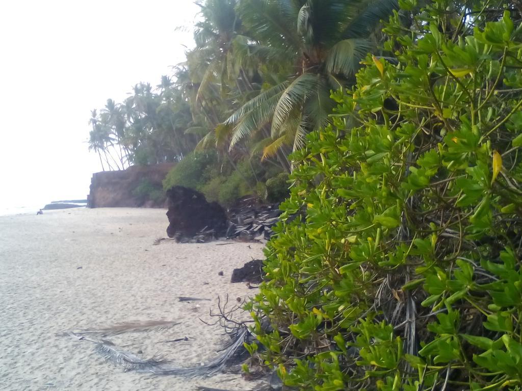 Hotel Ivory Coaste Kannur Exteriér fotografie