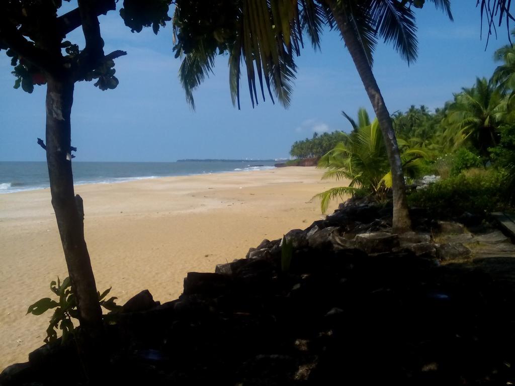 Hotel Ivory Coaste Kannur Exteriér fotografie